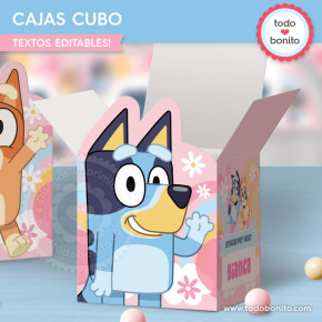 Bluey y Bingo rosa y azul:...