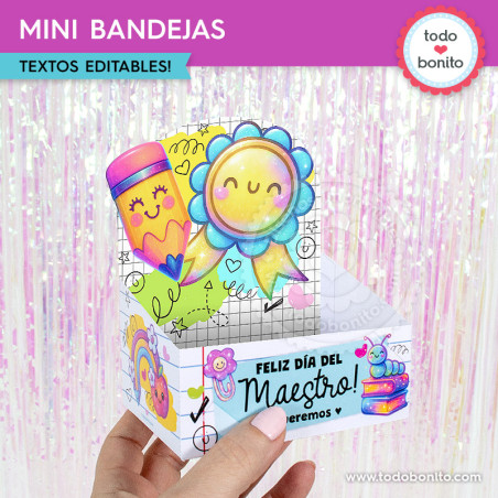 Día del Maestro Mod2: mini...