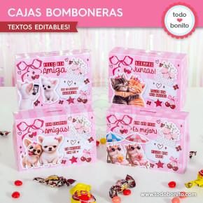 Cuatro modelos de cajas bomboneras imprimibles para Día del Amigo con diseño pink collage y textos editables