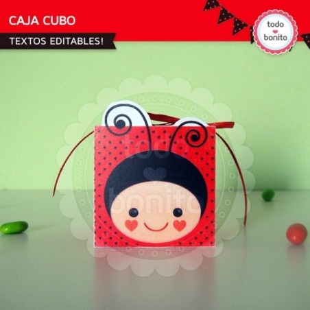 Ladybug rojo: cajita cubo