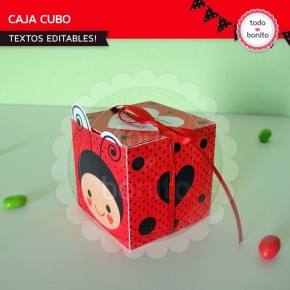 Ladybug rojo: cajita cubo