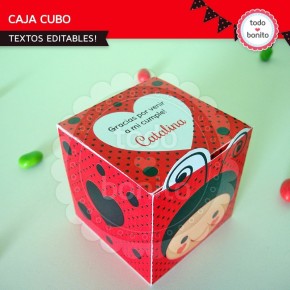 Ladybug rojo: cajita cubo