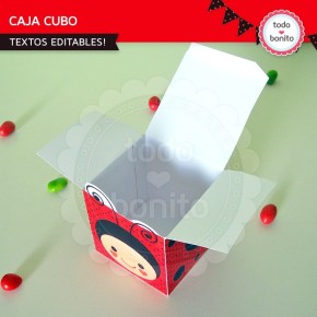 Ladybug rojo: cajita cubo