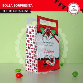 Ladybug rojo: bolsa sorpresita para imprimir