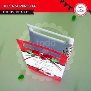 Ladybug rojo: bolsa sorpresita para imprimir