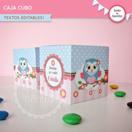 Búhos rosa: cajita cubo