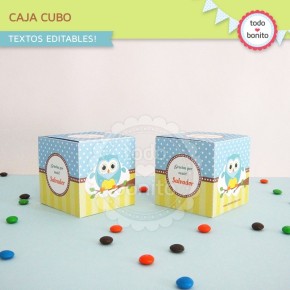 Búhos niños: cajita cubo