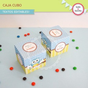 Búhos niños: cajita cubo