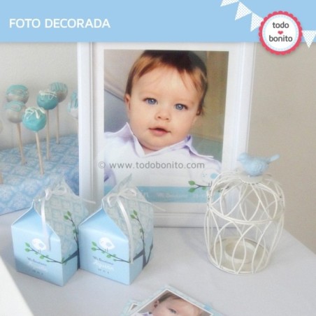 Pajarito bebé celeste:  foto decorada