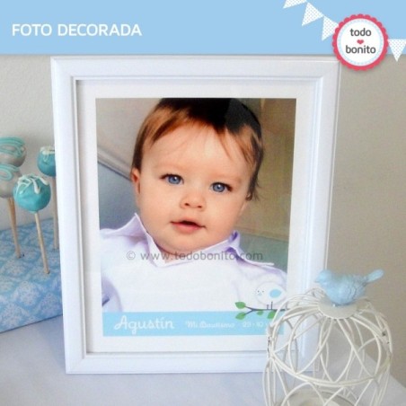 Pajarito bebé celeste:  foto decorada