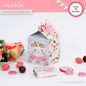 Conejita: cajita milkbox