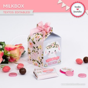 Conejita: cajita milkbox