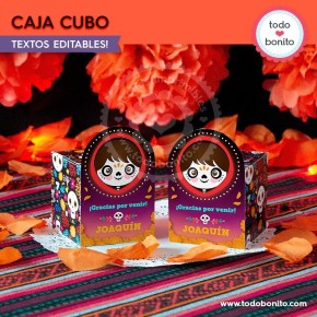 Coco: cajita cubo