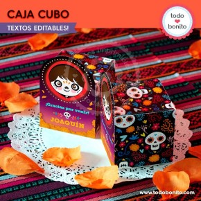 Coco: cajita cubo