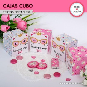 Gatita princesa cool: cajita cubo