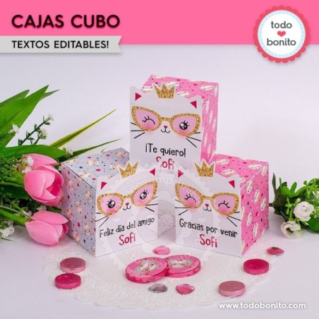 Gatita princesa cool: cajita cubo