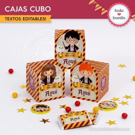 Harry Potter: cajita cubo