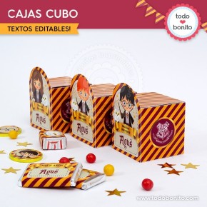 Harry Potter: cajita cubo