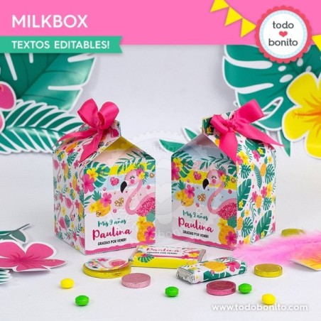 Flamencos y ananá: cajita milkbox