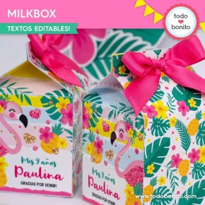 Flamencos y ananá: cajita milkbox