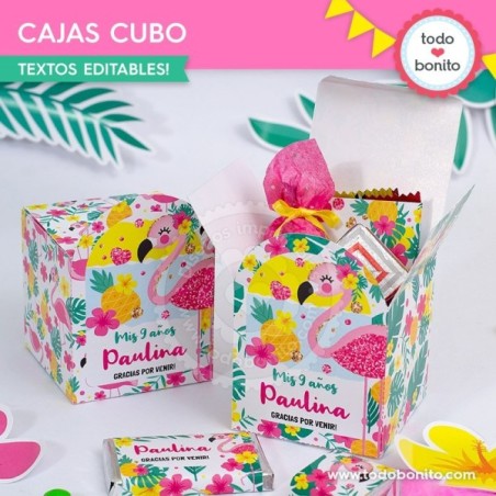 Flamencos y ananá: cajita cubo