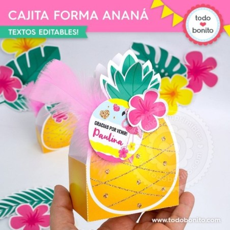 Flamencos y ananá: cajita con forma