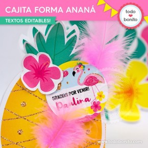 Flamencos y ananá: cajita con forma