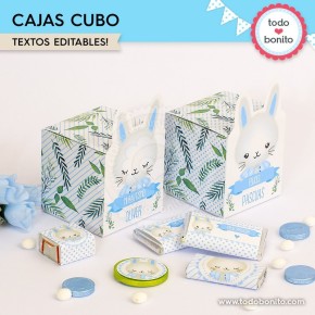 Conejito: cajita cubo