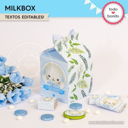 Conejito: cajita milkbox