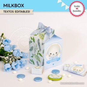 Conejito: cajita milkbox