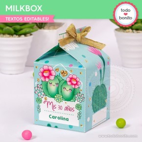 Cactus: cajita milkbox