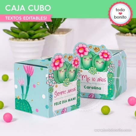 Cactus: cajita cubo