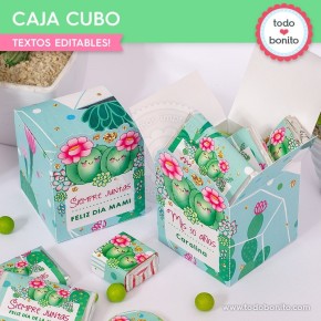 Cactus: cajita cubo