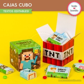 Minecraft: cajitas cubo