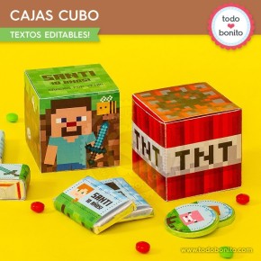 Minecraft: cajitas cubo