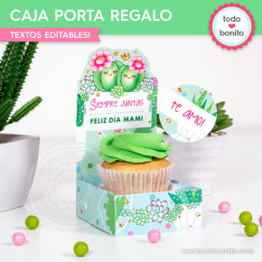 Cactus: cajita porta regalo