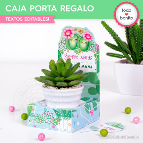 Cactus: cajita porta regalo